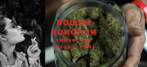 хмурый Няндома