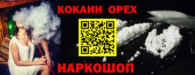 гашик Гусев