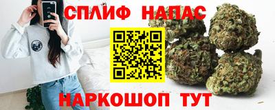 гашик Гусев