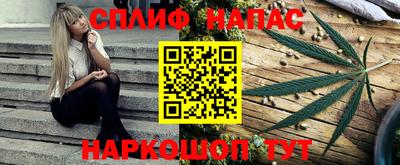 гашик Гусев