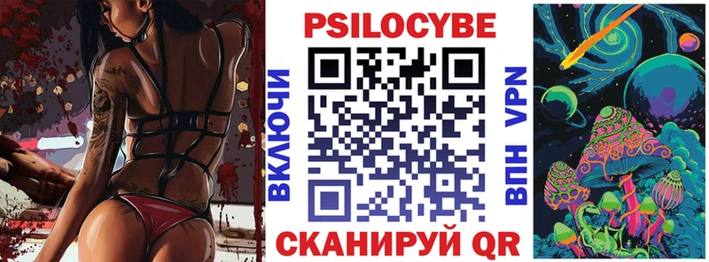 где купить наркоту  Санкт-Петербург  Псилоцибиновые грибы Cubensis 