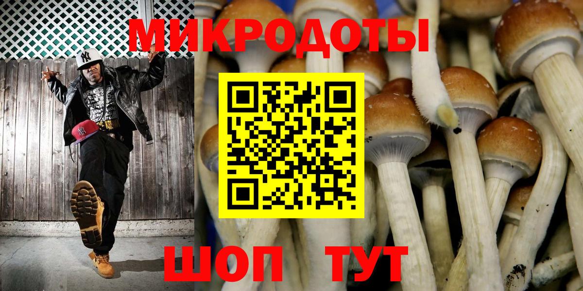 Галлюциногенные грибы MAGIC MUSHROOMS  Вход с VPN  Санкт-Петербург 